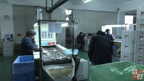 金楊科技春節不打烊，增資擴產技術服務忙